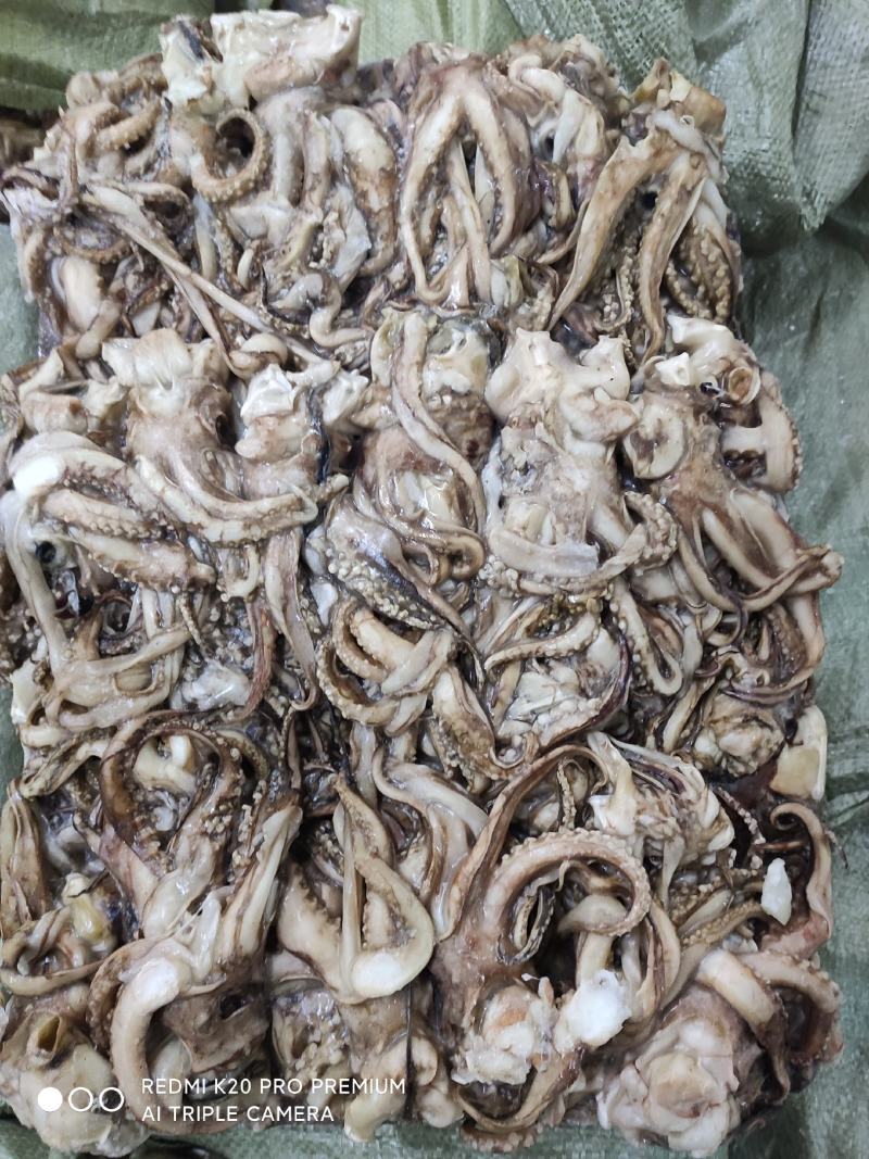 精品水产品北太鱿鱼头，规格齐全物美价廉量足，欢迎电话联系