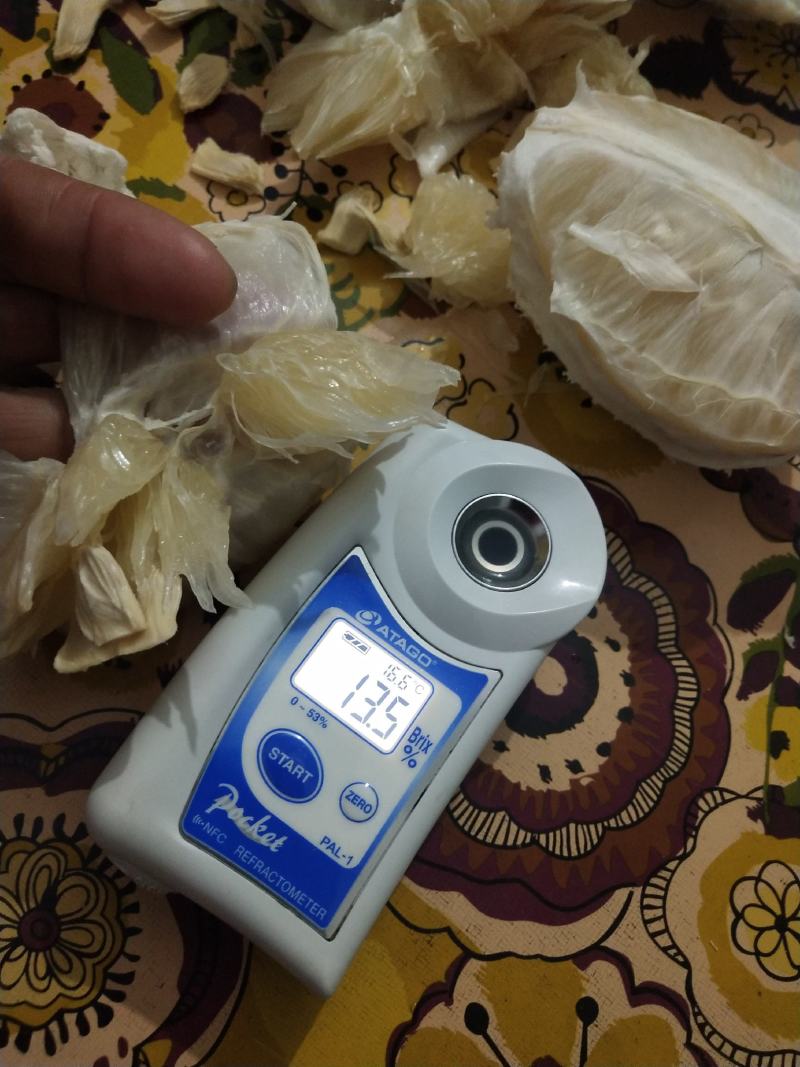 江永香柚，高品质，清香味甜，果面金黄，肉质细腻！