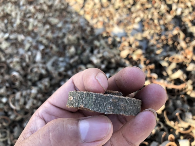 陕南城固县，厚朴丝，宽度1.0