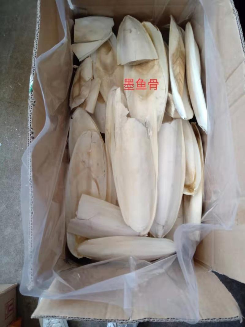 墨鱼骨，靓货，北海特产，药用价值高