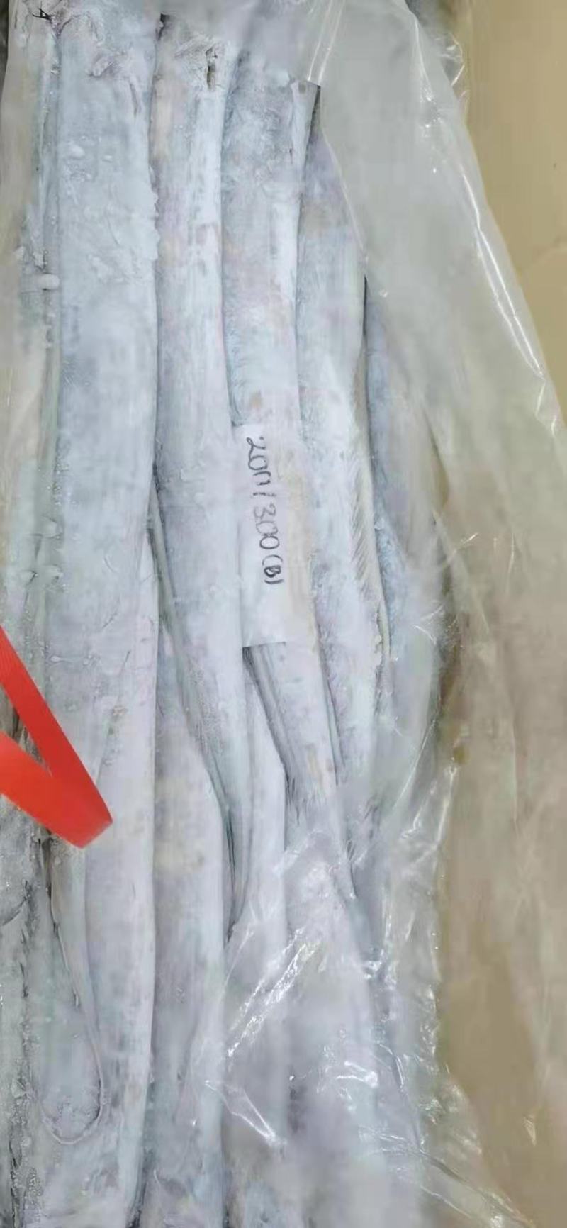墨鱼骨，靓货，北海特产，药用价值高