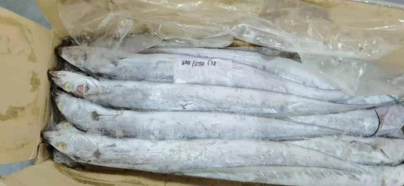 墨鱼骨，靓货，北海特产，药用价值高