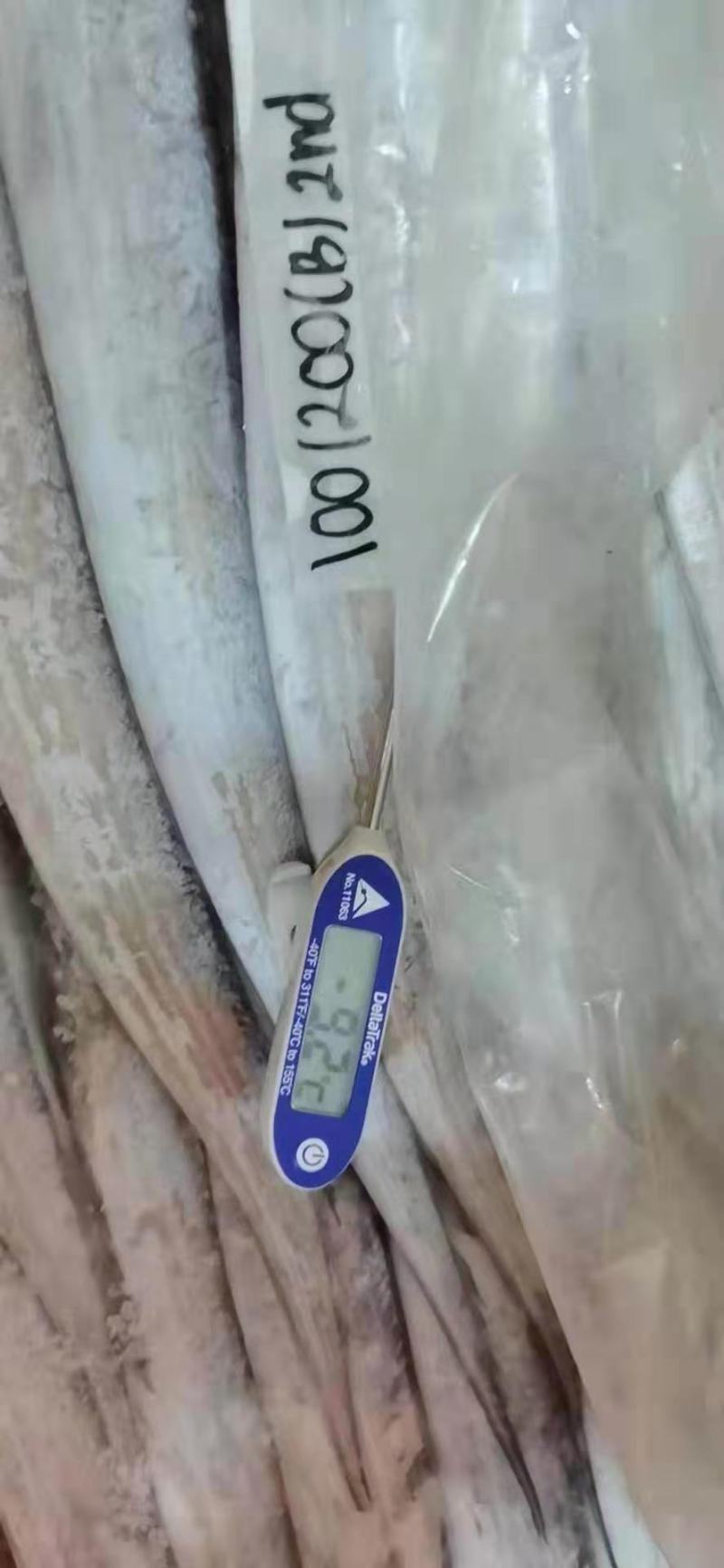 墨鱼骨，靓货，北海特产，药用价值高