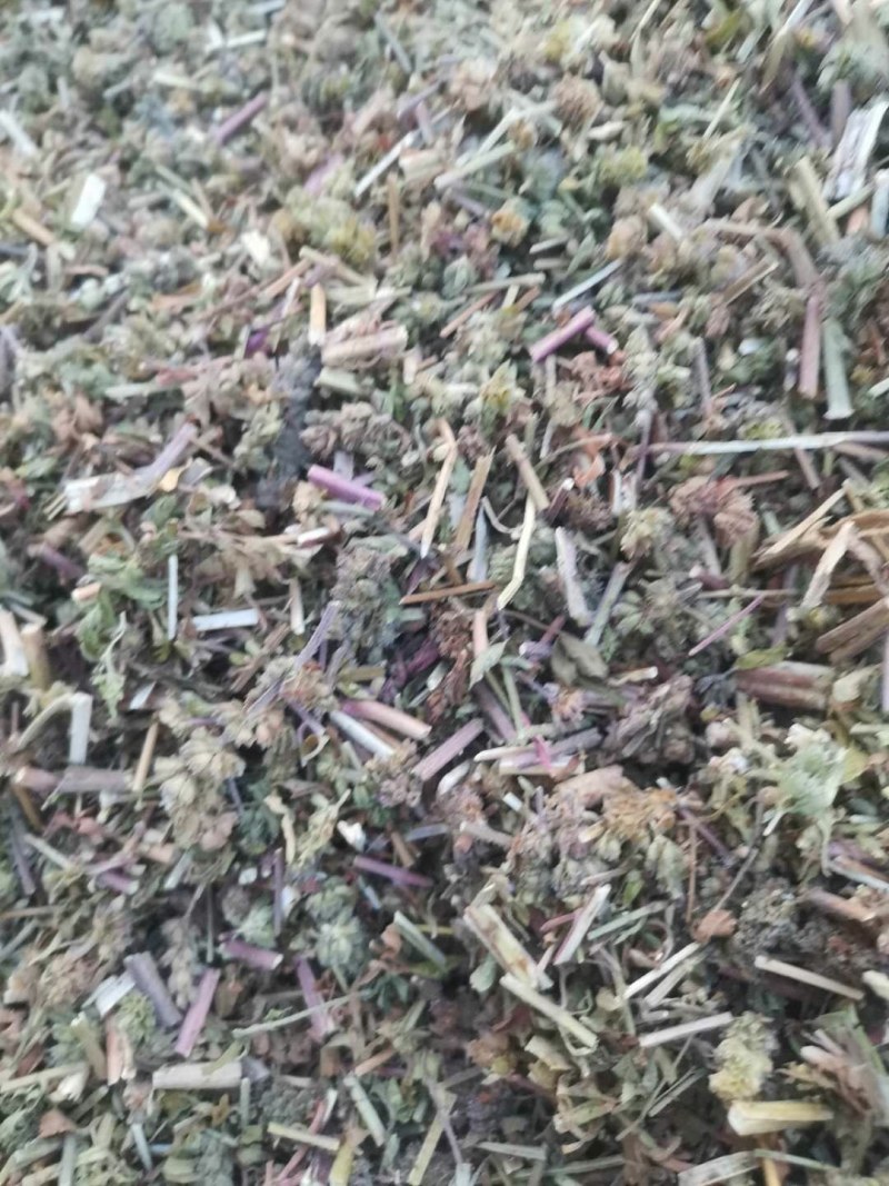 荆芥片，荆芥穗，荆芥全棵