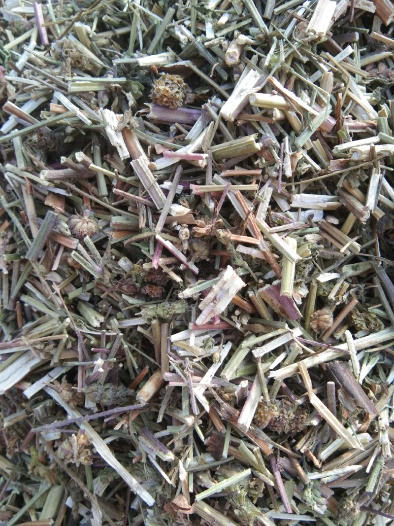 荆芥片，荆芥穗，荆芥全棵