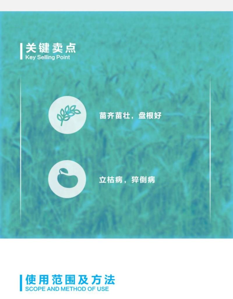 先正达翠影精甲咯菌腈根腐病恶苗病种衣剂杀菌剂