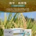 先正达翠影精甲咯菌腈根腐病恶苗病种衣剂杀菌剂