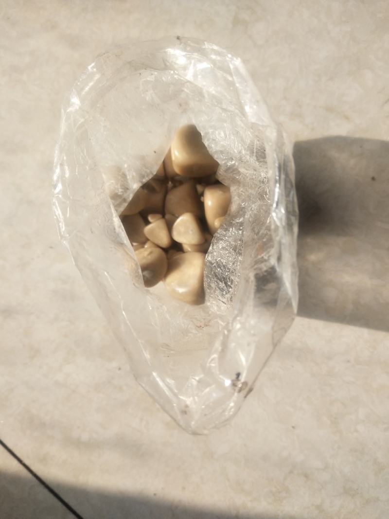 药材狗宝出售，价格详谈