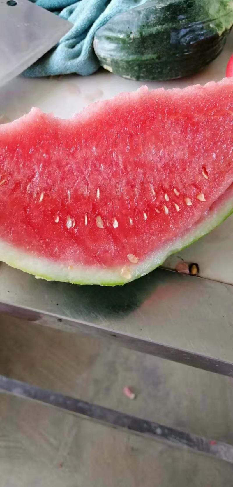 美都种子高纯度含糖高品质好瓤红耐裂个大周正