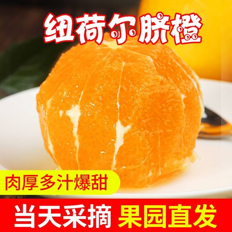 纽荷尔脐橙，赣南脐橙，口感好，果皮好，潘大姐代办