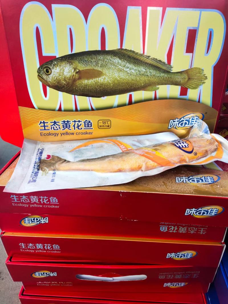 大黄鱼黄花鱼精品礼盒装冻品电商团购专供深海鱼产地直发