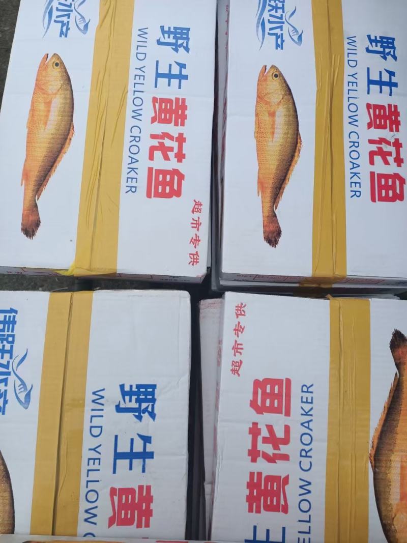 大黄鱼黄花鱼精品礼盒装冻品电商团购专供深海鱼产地直发