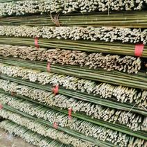湖南竹竿，新鲜菜架竹，可用于豆角架，一手货源，货源充足！