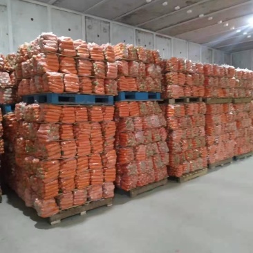 次品胡萝卜精品水洗胡萝卜通货各种规格胡萝卜