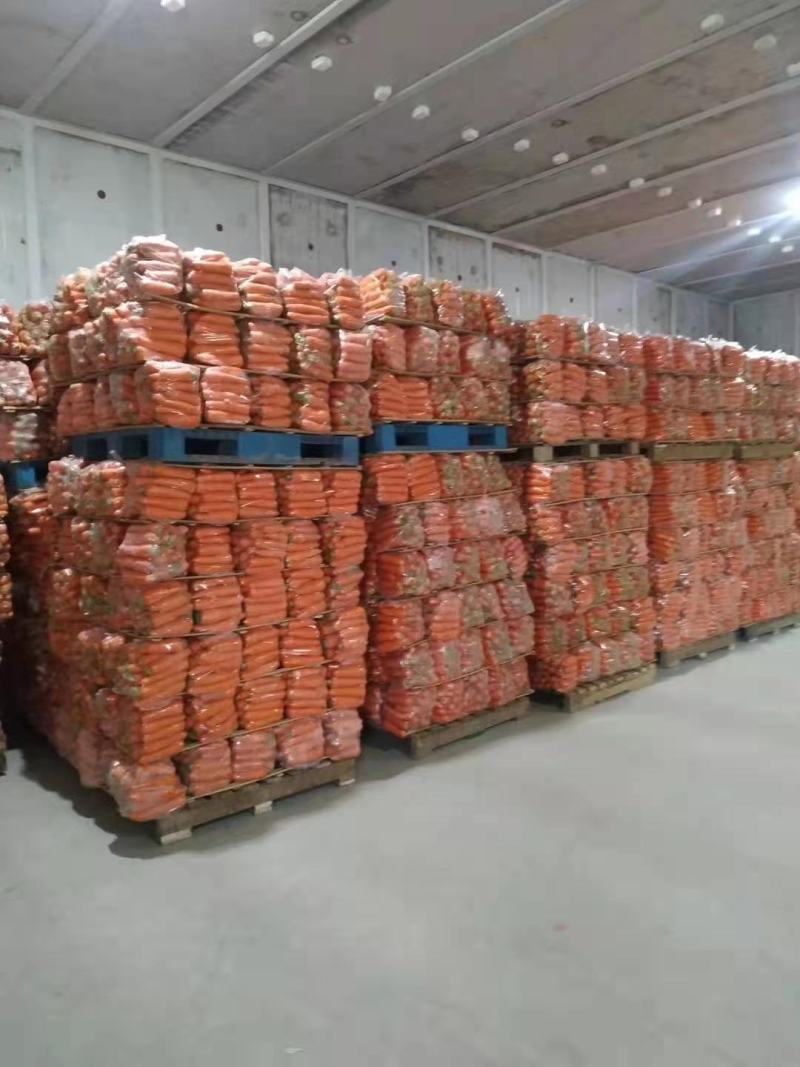 次品胡萝卜精品水洗胡萝卜通货各种规格胡萝卜
