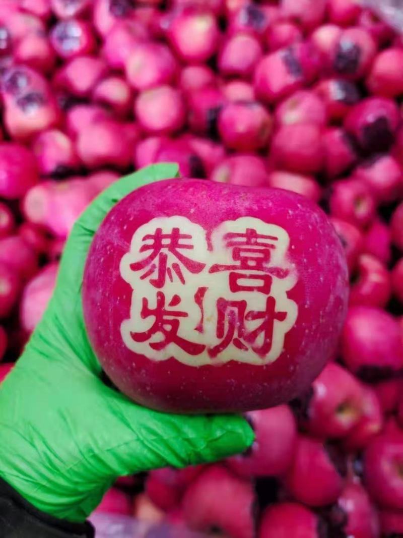 烟台栖霞优质苹果购销中心