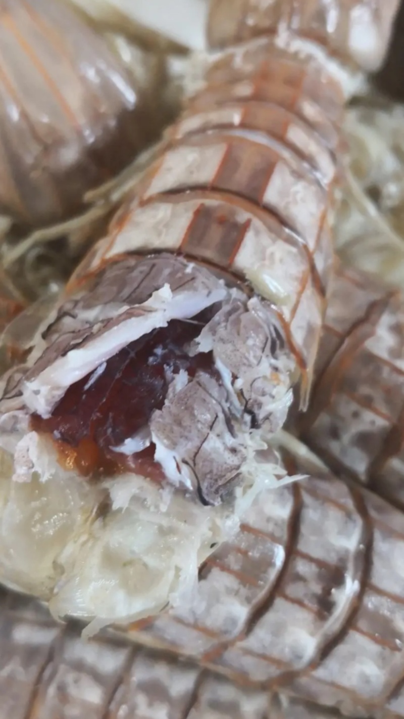 熟冻皮皮虾公皮皮虾母皮皮虾全国大货