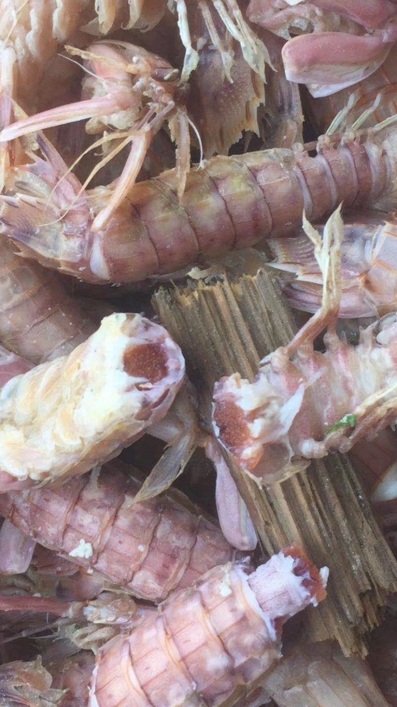 熟冻皮皮虾公皮皮虾母皮皮虾全国大货