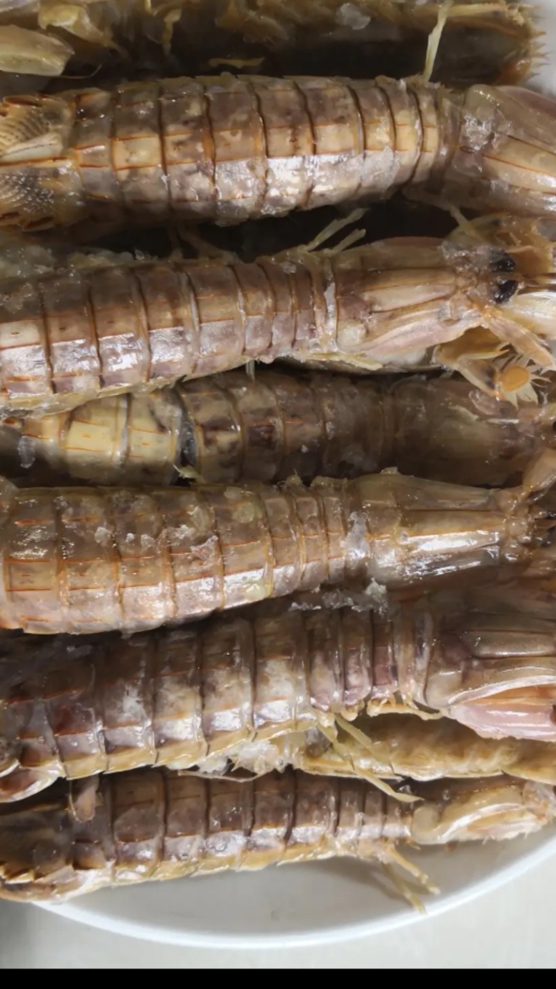 熟冻皮皮虾公皮皮虾母皮皮虾全国大货