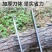 （包邮）高档锰钢柴刀锻打砍树刀户外开路刀农用劈柴刀割草刀