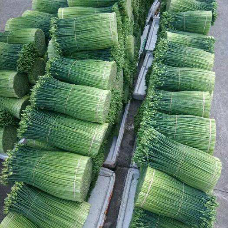 罗氏菜品精品20—35的韭花