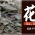 18个月优质花生质量好价格实惠，保证质量无土无膜