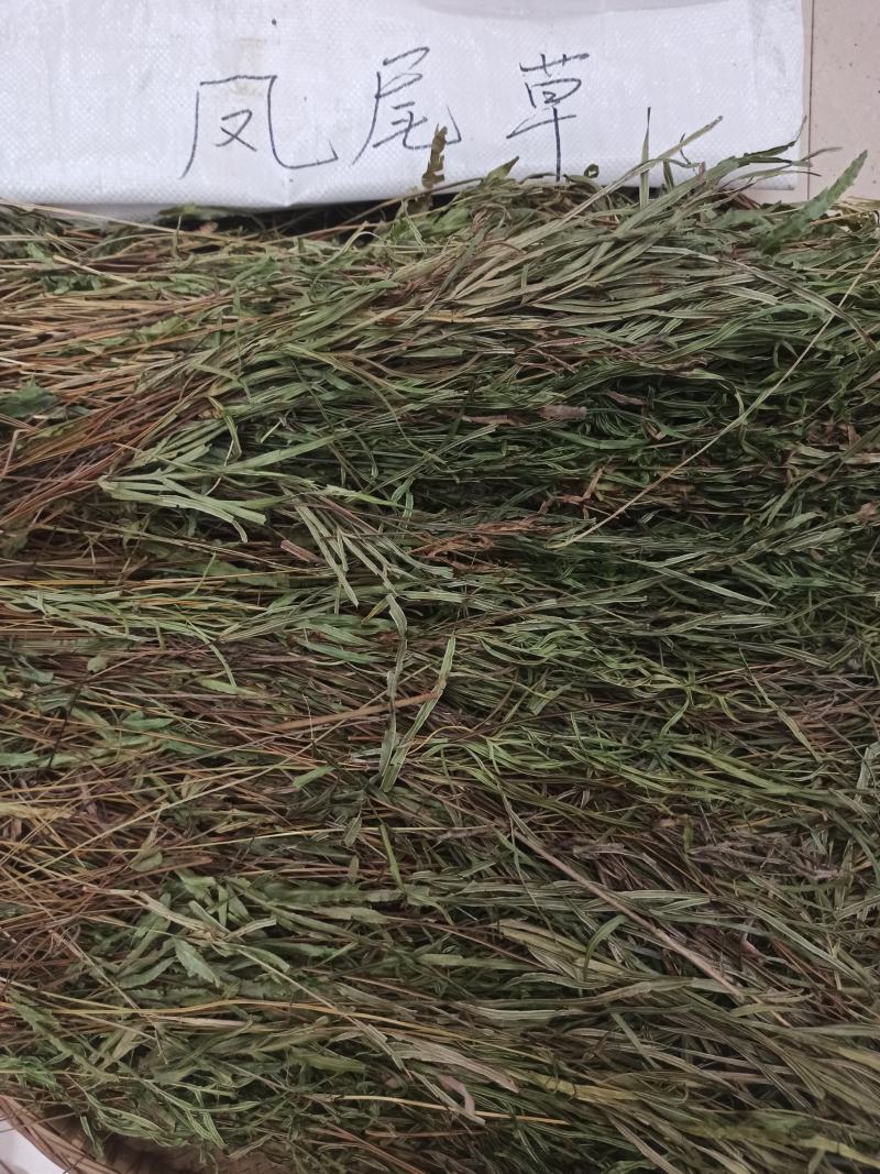 中药材全草凤尾草机压件