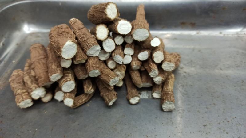 红皮香白芷调料食品，药品