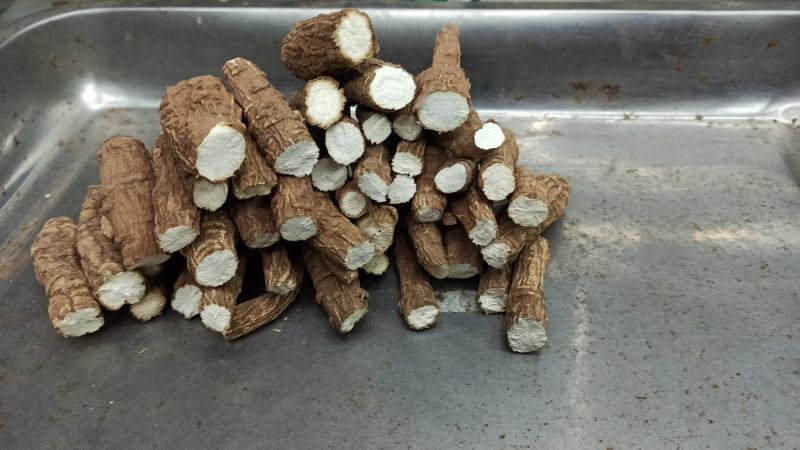 红皮香白芷调料食品，药品