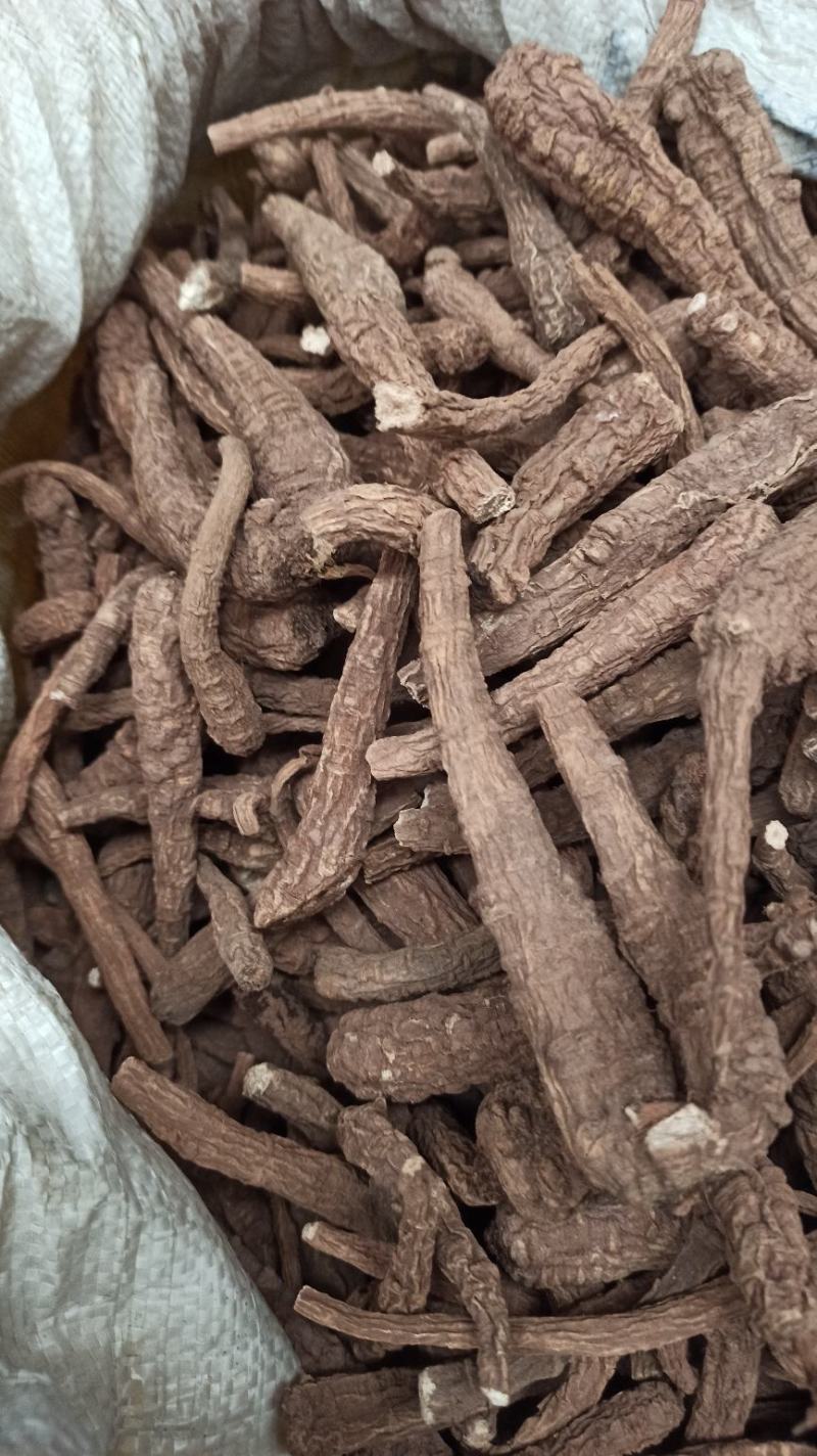 红皮香白芷调料食品，药品