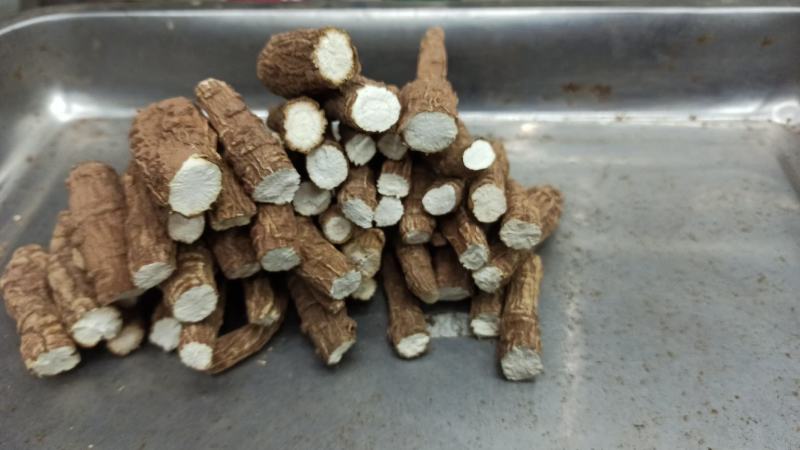 红皮香白芷调料食品，药品