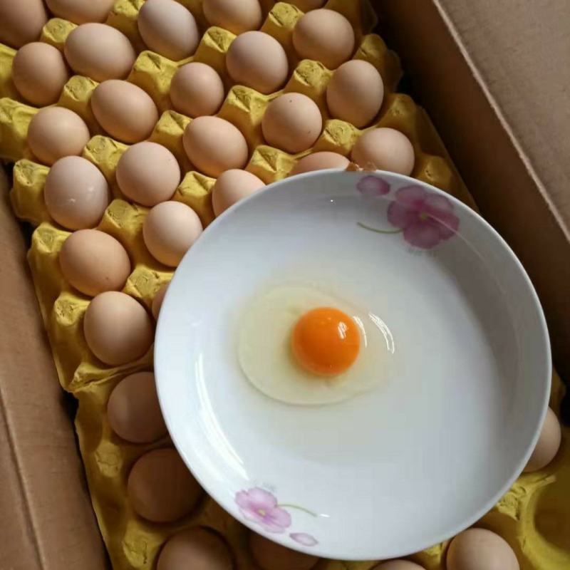 精品粉八黑凤双色蒸香金黄壳厚耐放蛋黄比例大口感好