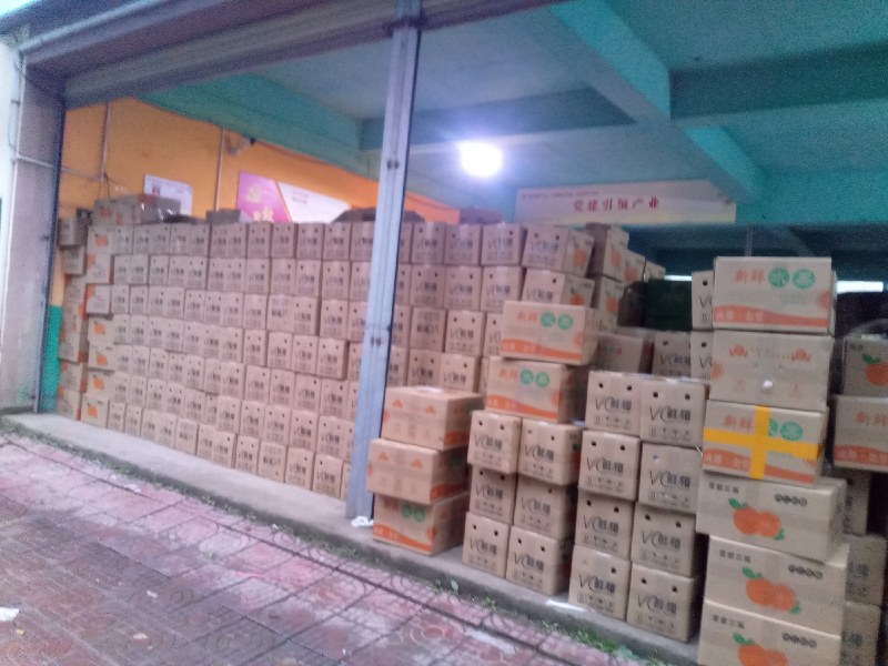 【基地直发】成都金堂三溪脐橙水分充足甜度高批发零售