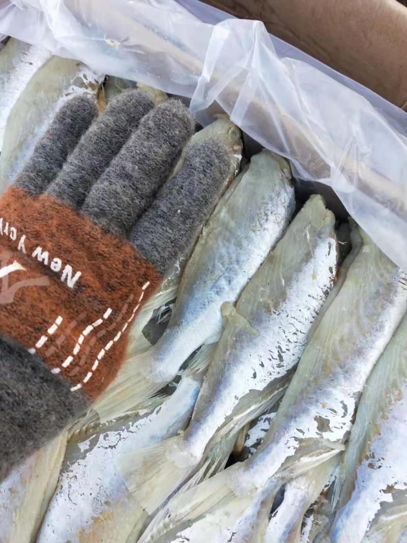 麦香鱼腌制咸鱼去头去内脏去皮，收拾的干净，一根主刺