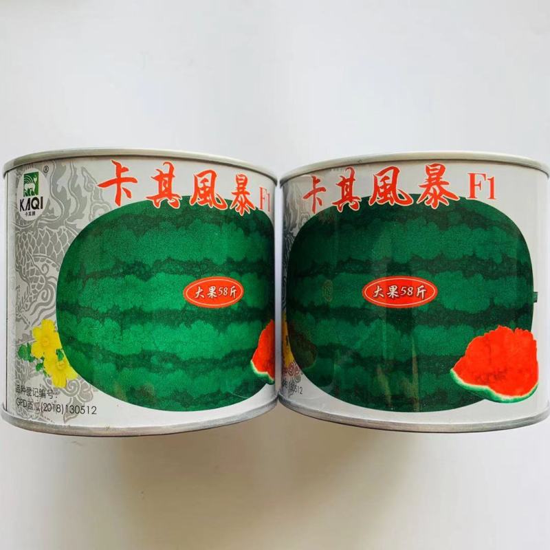 大果58斤，卡其风暴大果西瓜种子抗重茬抗病毒大红瓤西瓜
