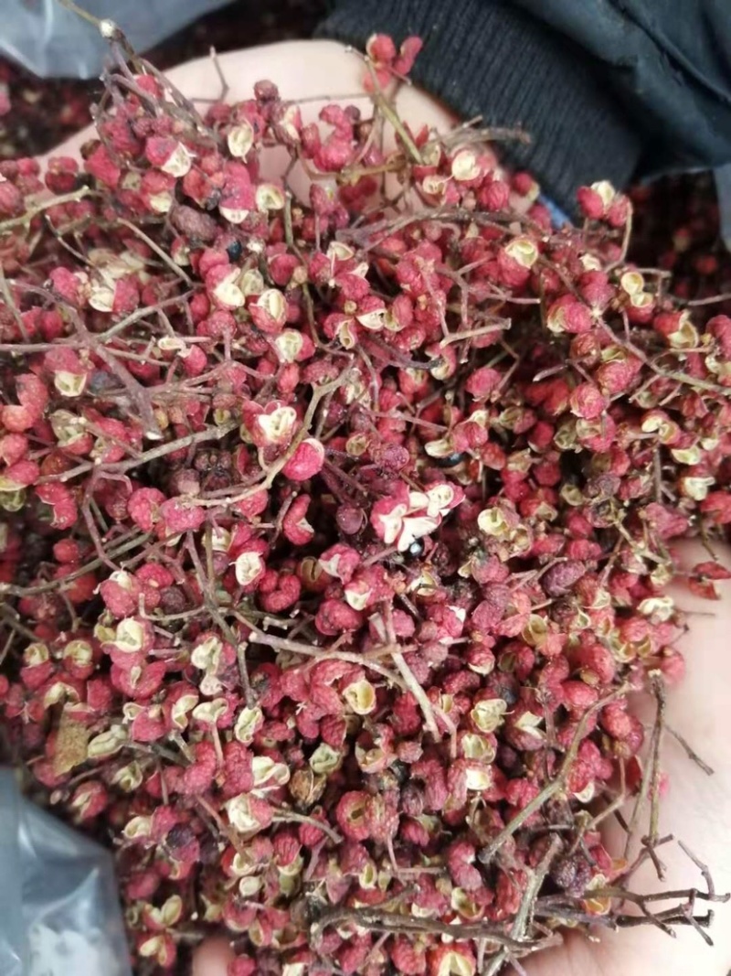 枣庄大红袍花椒，红花椒，自产自销纯净货一手货源