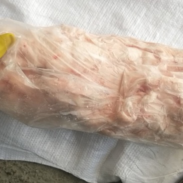 猪副产品鲜冻板油肚腩膘