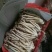 中国福建古田新鲜茶树菇