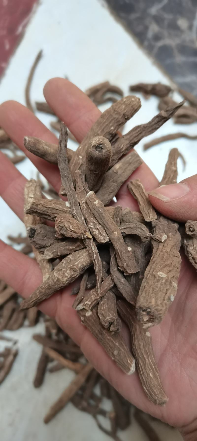 一枝蒿一枝蒿一枝蒿根无硫熏无杂质中药材