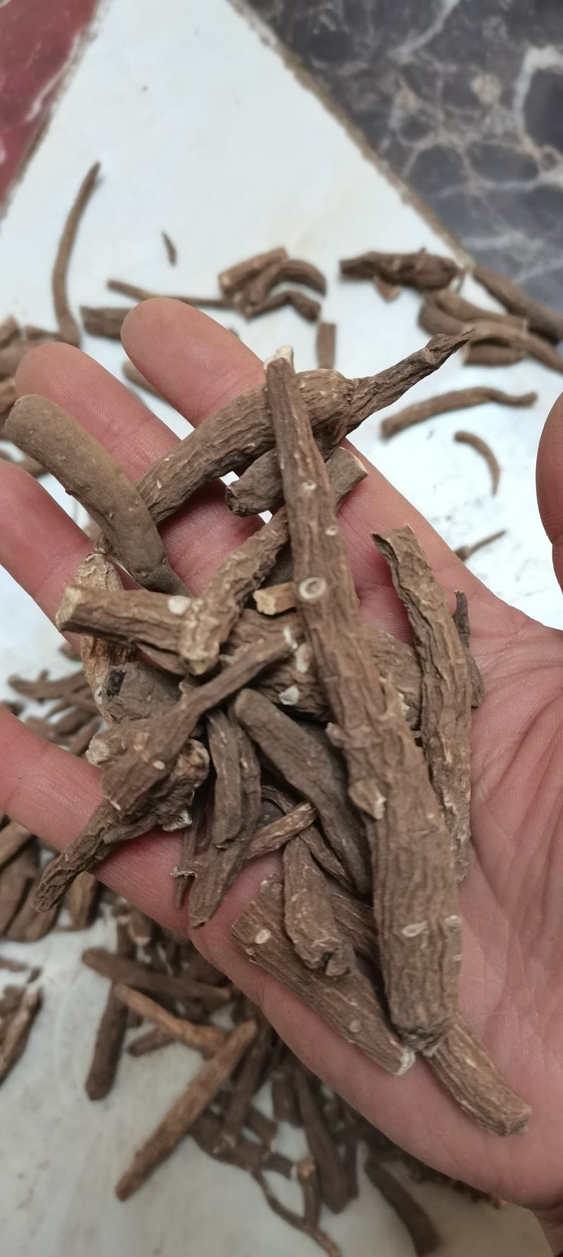 一枝蒿一枝蒿一枝蒿根无硫熏无杂质中药材