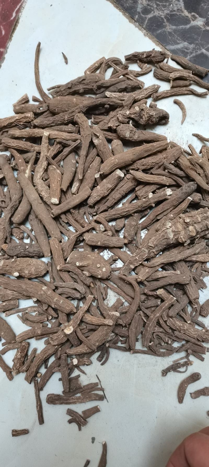 一枝蒿一枝蒿一枝蒿根无硫熏无杂质中药材