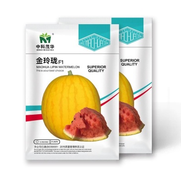 金玲珑礼品西瓜种子，黄皮红肉小果，酥甜多汁，含糖12.5