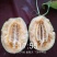 中科蜜五号哈密瓜种子，源自新疆，含糖22度，酥脆多汁