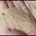 统糠米糠稻壳粉筛糠谷糠灰糠鸡鸭鹅饲料
