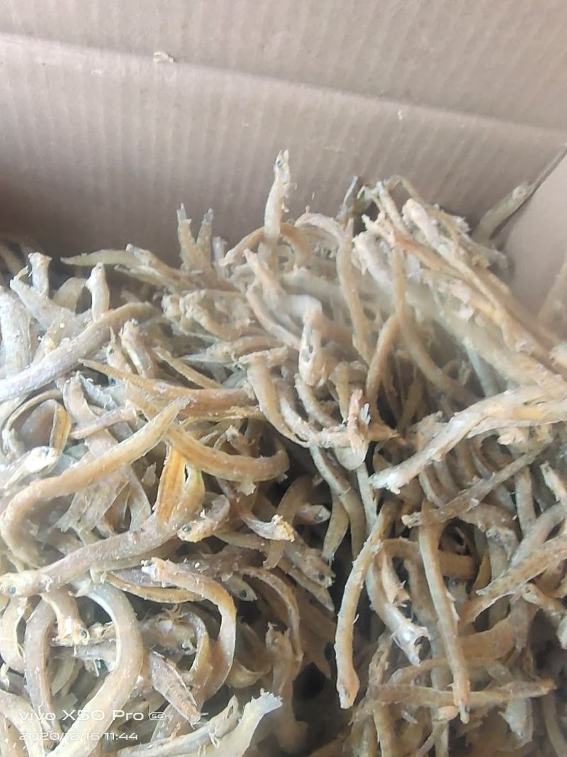 凤尾鱼产地直销（大小条）口感鲜香肉质劲道小食品好食材