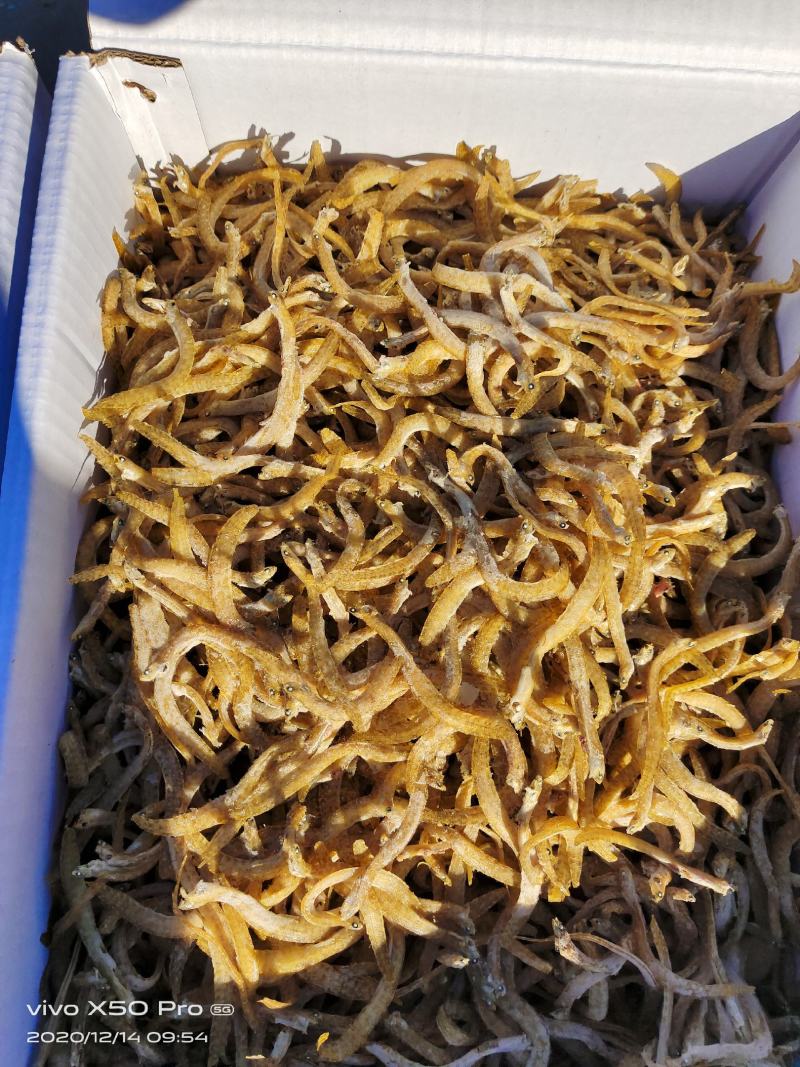 凤尾鱼产地直销（大小条）口感鲜香肉质劲道小食品好食材