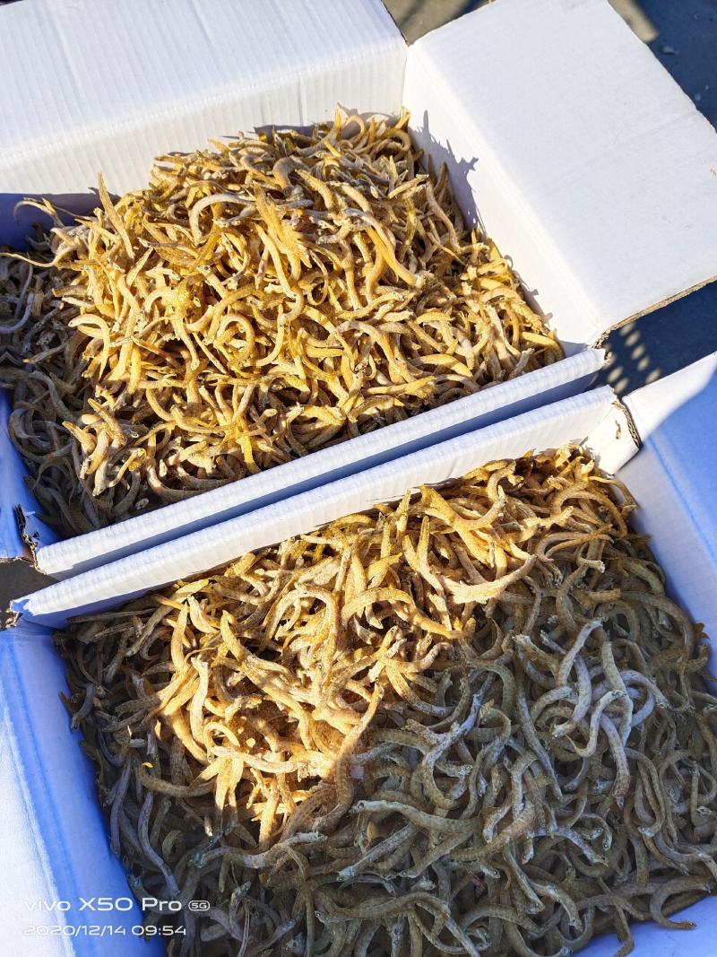 凤尾鱼产地直销（大小条）口感鲜香肉质劲道小食品好食材