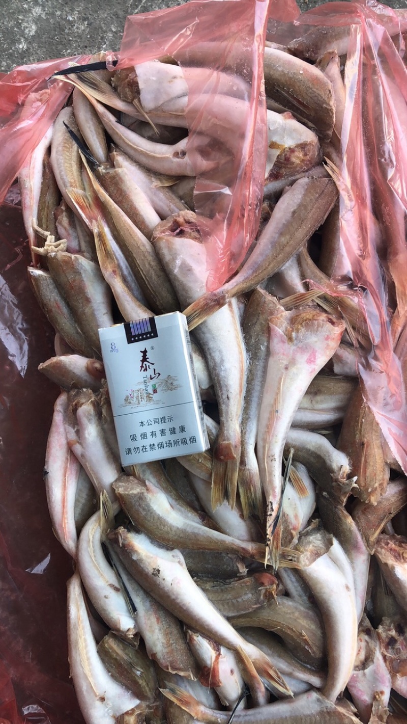 去头红头鱼红娘子鱼两去大量供应保质保量可视频看货
