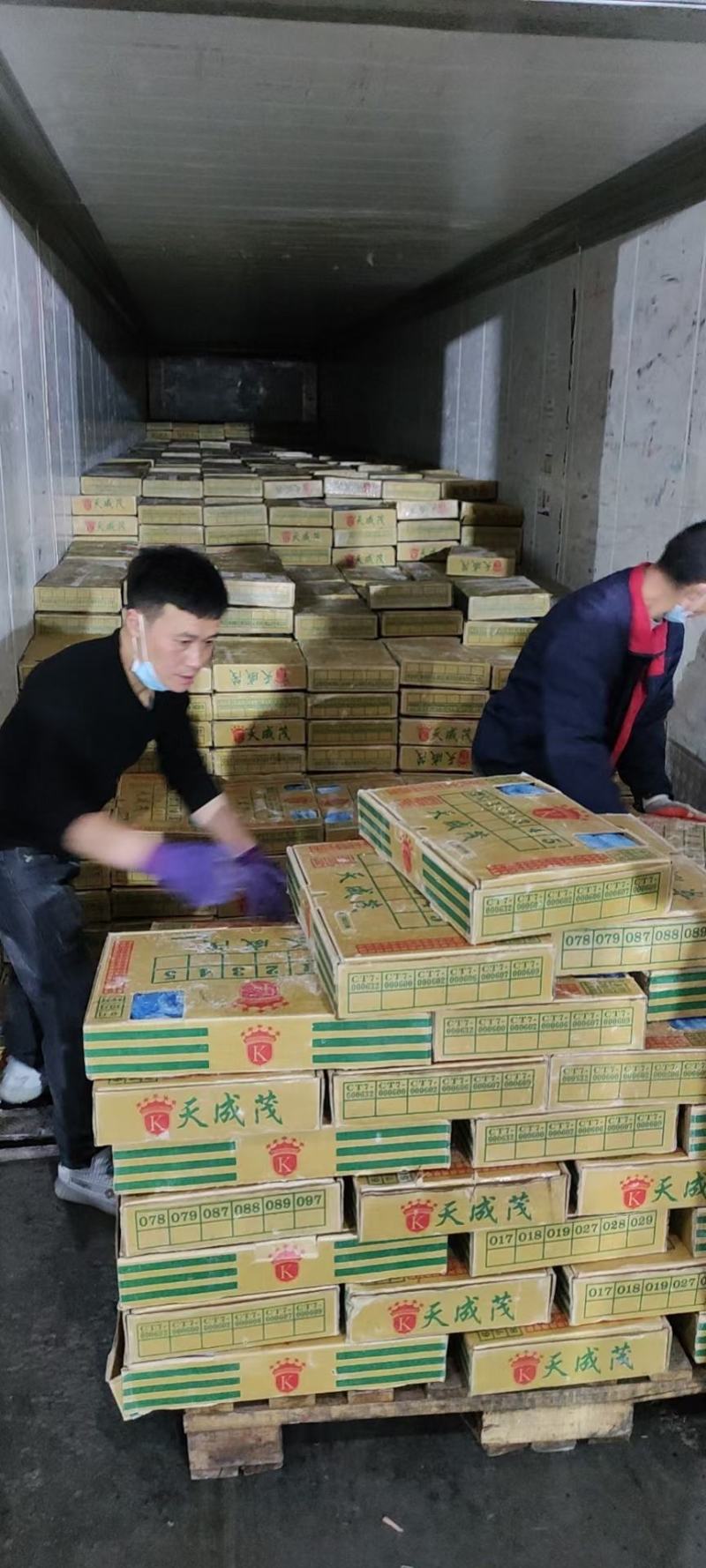 秋刀鱼一手货源1号2号3号4号5号质量超好货真价实
