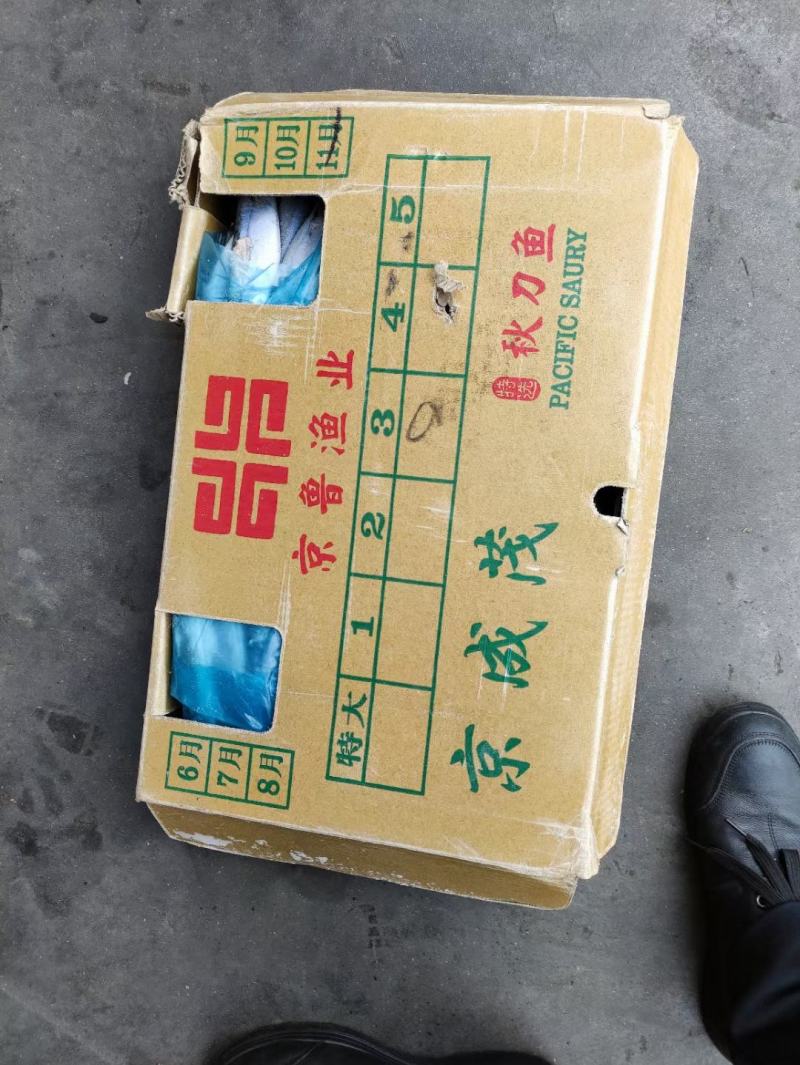 秋刀鱼一手货源1号2号3号4号5号质量超好货真价实